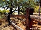 country